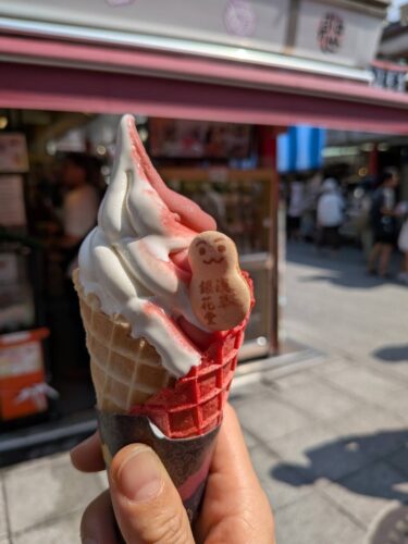 浅草銀花堂のイチゴソフトクリーム